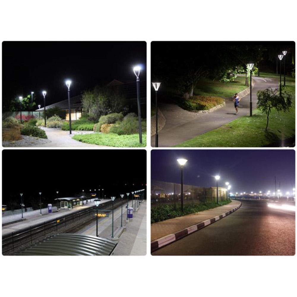 led post top light